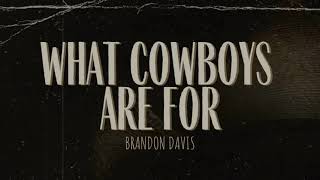 Brandon Davis What Cowboys Are For