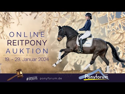 MCM Cissy WE Stute 2019 v. Coer Noble / FS Champion de luxe