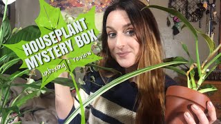 Mystery Plant Unboxing from Josh’s Frogs