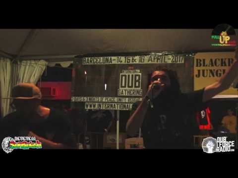 MANUDIGITAL Ft TAIWAN MC & GEORGE PALMER & SKARRA MUCCI   Rototom 2016   Dub Academy