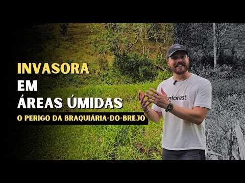 Florestal Brasil and Arthur Brasil