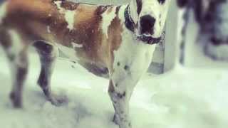 Unknown Haven- Lightspeed (Grieves Cover)