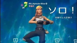何を言ってるか分からんがビクロイしたから載せてみた(ソロ