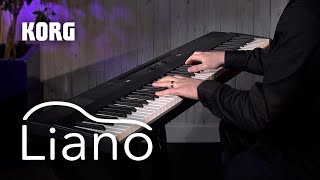 Video thumbnail for Korg Liano -all playing, no talking by Korg UK