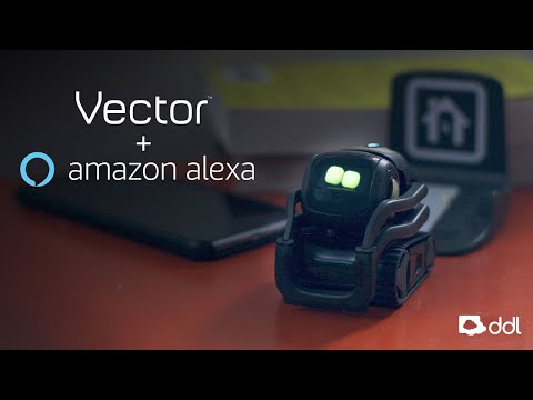 Vector by ddl | Now With Amazon Alexa Built-In