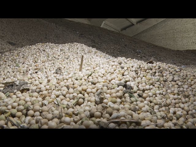 Иркутская область перевыполнила план по экспорту агропромышленной продукции более чем на 20%