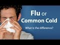 Flu or Common Cold - What is the difference?