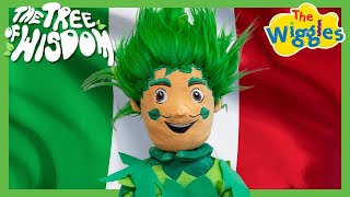 Sicily (I Want to Go) 🇮🇹 🌳 The Tree of Wisdom + The Wiggles