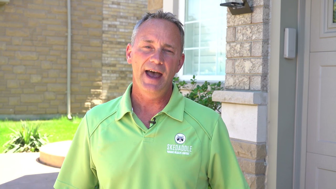 Four Seasons Pest Control - Winter Service