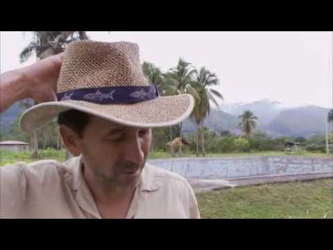 On War. Chasing Shining Path