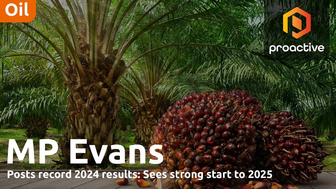 MP Evans posts record 2024 results, eyes growth