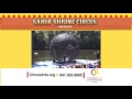 Sahib Shrine Circus 2015 TV Spot