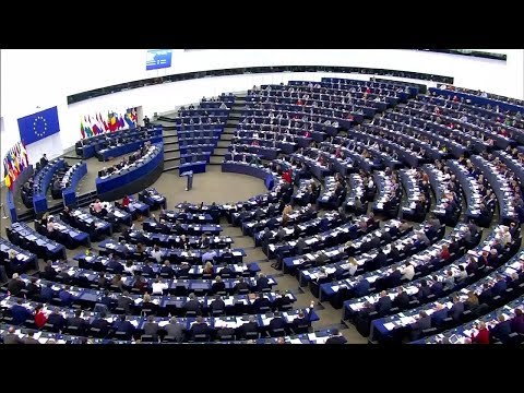 STIMMUNGSBILD: Rechtspopulisten voll im Trend bei Europawahl