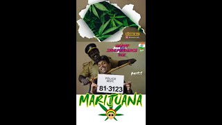 അതും ഭൂമില് വിത്ത് വീണ് മുളച്ചുവരണ ഒരു ചെടിയാണ് 😜👍 Marijuana part :1 watch full video in our channel