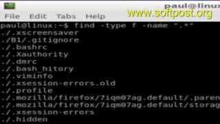 How to find all hidden files using find command in Linux