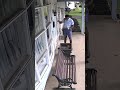 The SHOCKING Reason This Mailman Became A Feline Icon