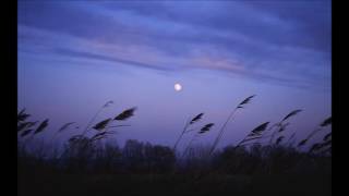 JinSang - night breeze - first part extended - with intro and end