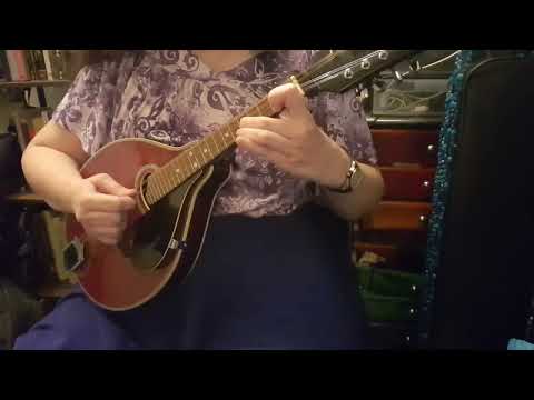 Many Twos: Improv 2,222 (Sigma mandolin and shruti box)
