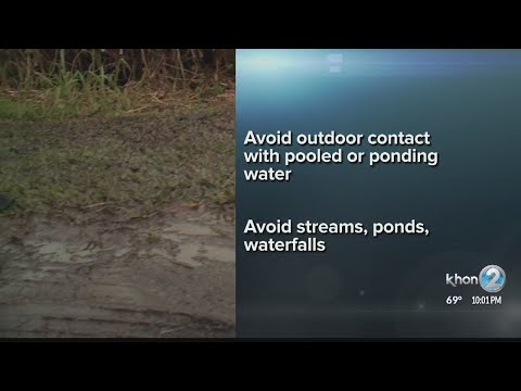 Flu symptoms masked nearly lethal infection