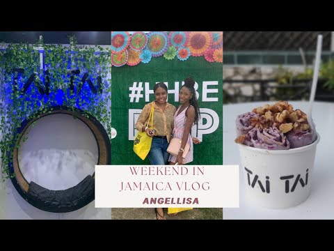 Weekend in Jamaica VLOG: Fried Ice Cream, Expo, Lunch Date || Angellisa