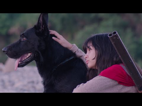 女孩誤殺保育類動物，竟引出更大殺機？《鷹爪下的國度》疑點重重｜原創娛樂 Creative Century Ent.