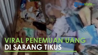 Pasutri Dibuat Kaget saat Bongkar Sarang Tikus, Temukan Banyak Uang: Tikus Jadi-jadian?