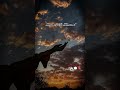 Saazish Me Shamil New Sad Status Shehzaadi 5 ️