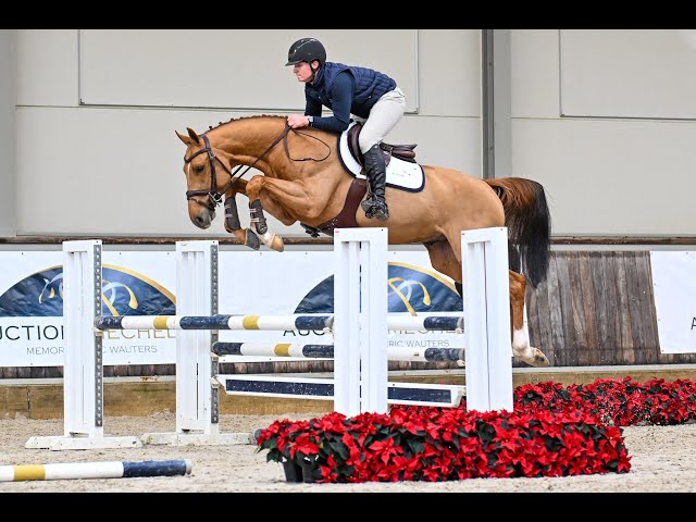 Magic st Hermelle - Ridden