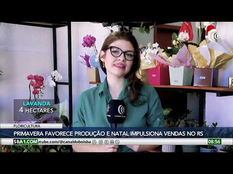 Primavera favorece produção e natal impulsiona vendas no Rio Grande do Sul