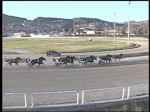 Trotto 13/01/2015 - 3° corsa