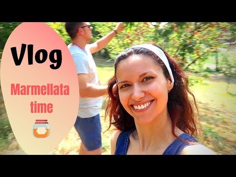download lagu mp3 mp4 Vivere In Campagna Blog, download lagu Vivere In Campagna Blog gratis, unduh video klip Vivere In Campagna Blog