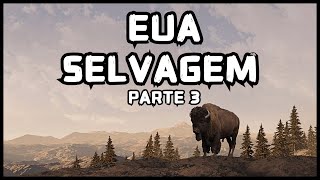 ESTADOS UNIDOS: Os Animais Selvagens Que Vivem Nos EUA - PARTE 3 do Documentário