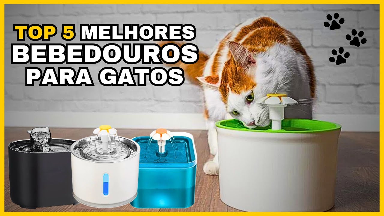 Qual é o Melhor Bebedouro para Gatos de 2024? / Top 5 Melhores Bebedouro para Gatos de 2024
