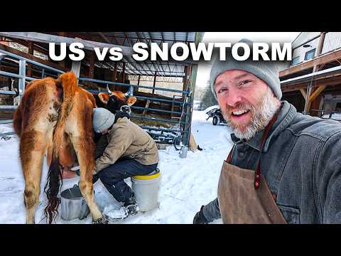 Homestead vs. Snowstorm: Battling Winter's Fury