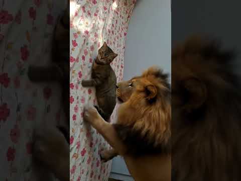 27 de diciembre de 2025