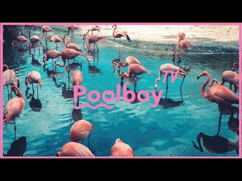 WAZE & ODYSSEY & TOMMY THEO - ALWAYS