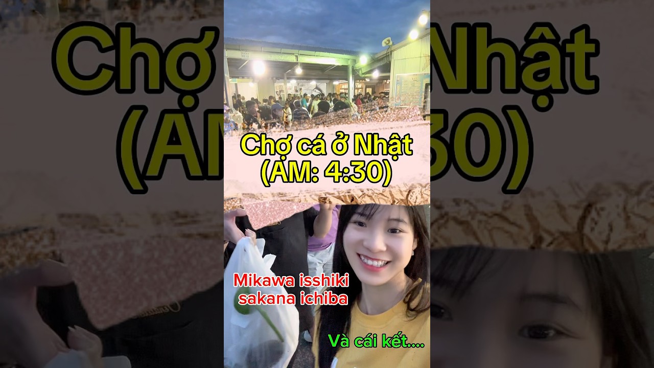 Chợ cá sớm ở Nhật có rẻ hơn ở siêu thị?? #cuocsongnhatban #ngocvanga #sakana