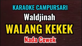 Download lagu WALANG KEKEK - WALDJINAH - KARAOKE CAMPURSARI // NADA CEWEK mp3