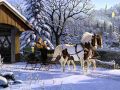 Jack Jezzro: Home For The Holidays 