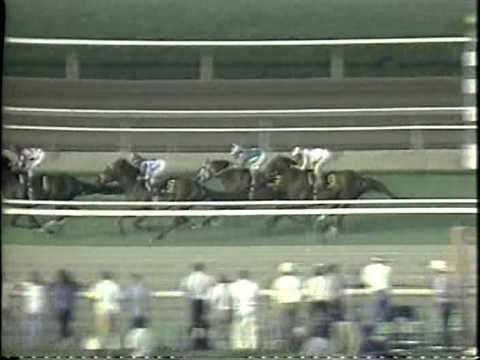 Lady's Secret, Argentario, Roo Art, Groovy, Wisla and more. From 1986