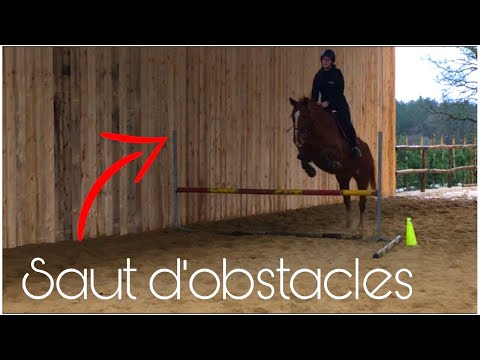 CS'o Landreau - Saut d’obstacles - 06/03/2019