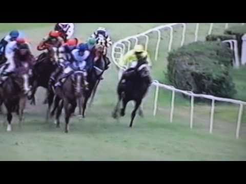 Nagroda Derby - 4.07.2004 - Montbard  (Llandaff - Magenta)