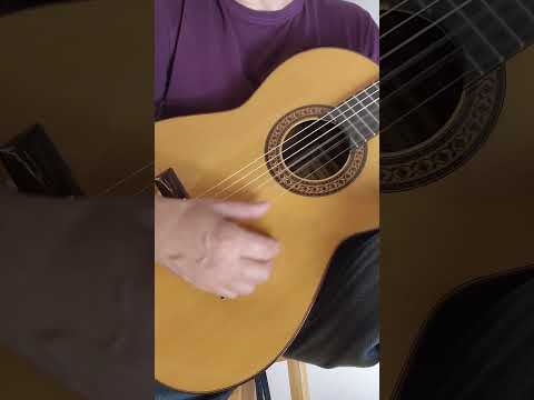 Raimundo No 136S Classical Guitar All Solid Wood Handmade in Spain image 12