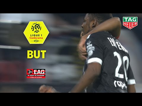 But Félix EBOA EBOA (21') / Olympique Lyonnais - EA Guingamp (2-1)  (OL-EAG)/ 2018-19