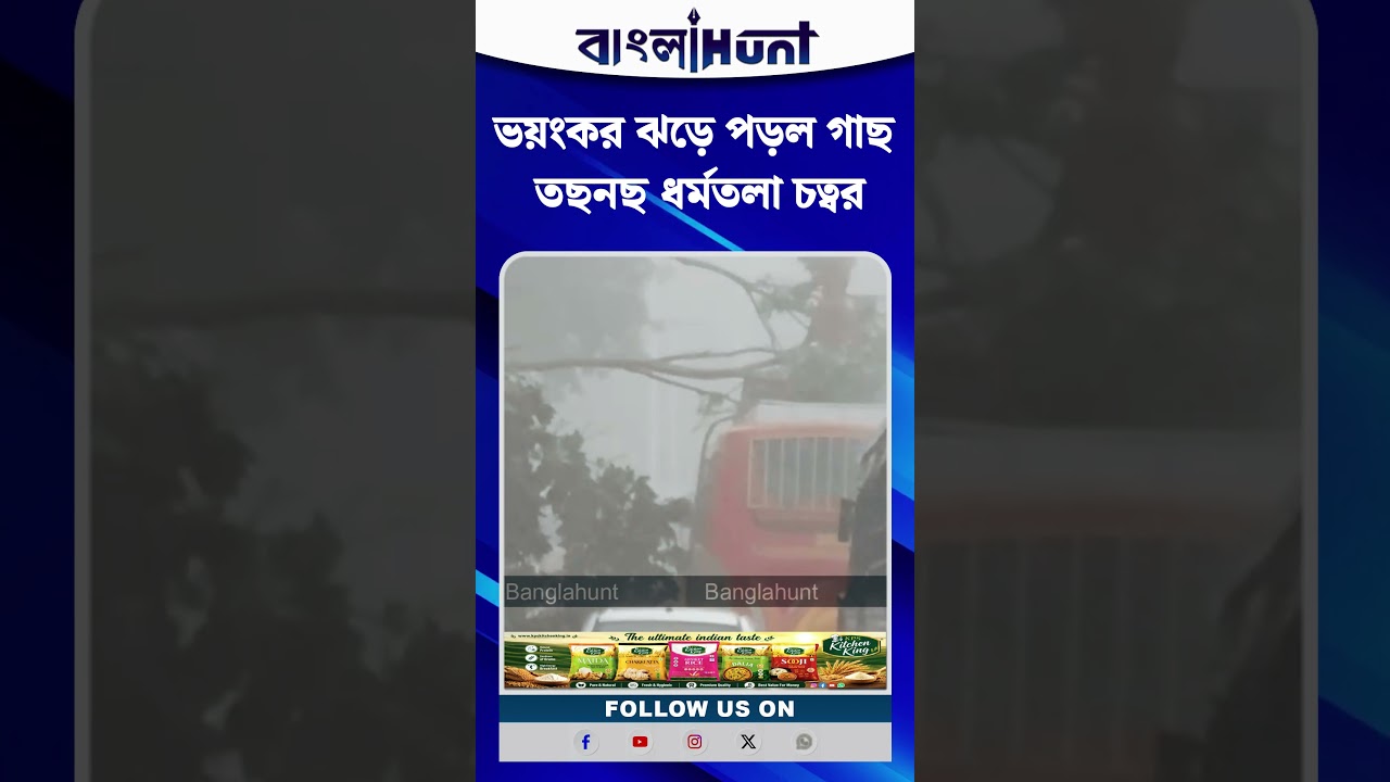 ভয়ংকর ঝড়ে পড়ল গাছ, তছনছ ধর্মতলা চত্বর
