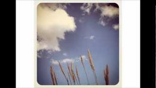 Fields of Harmony- Pete Seeger