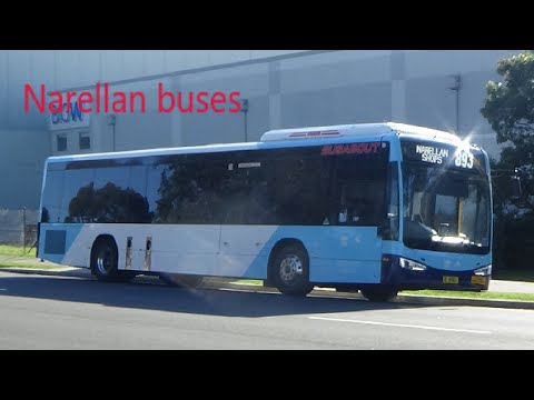 South West Sydney transport Vlogs No.15: Buses on Elyard Street