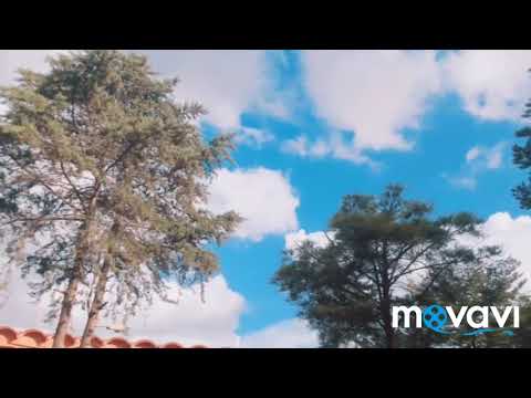 Mc khalifa  la vie c'est petit ta petit