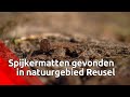 'Spijkermatten' gevonden in bossen bij Reusel