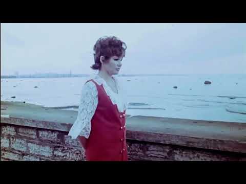 Heli Lääts - Tänav, pink ja puu